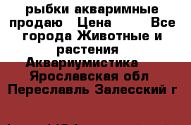 рыбки акваримные продаю › Цена ­ 30 - Все города Животные и растения » Аквариумистика   . Ярославская обл.,Переславль-Залесский г.